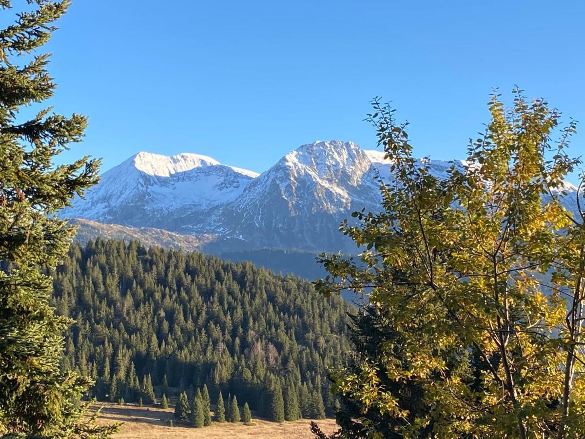Au Bachat-Bouloud, Appartement 3 Pieces 6 Personnes Avec Balcon Plein Sud Chamrousse Buitenkant foto